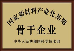 國家新材料產業化基地骨干企業